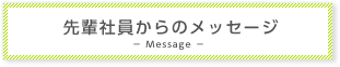 先輩社員からのメッセージ